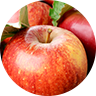 MANZANA MANZANA
